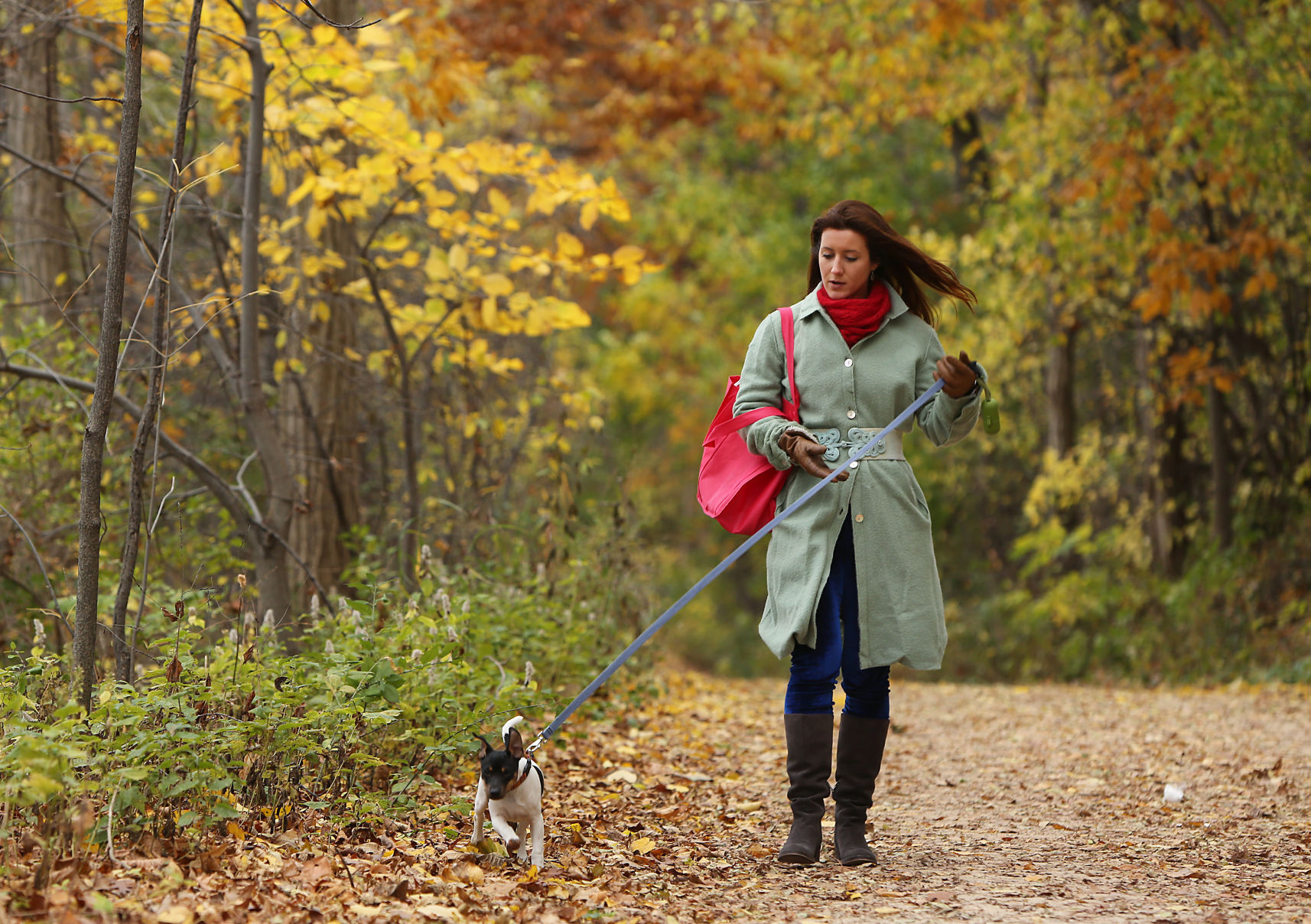 Walking the dog